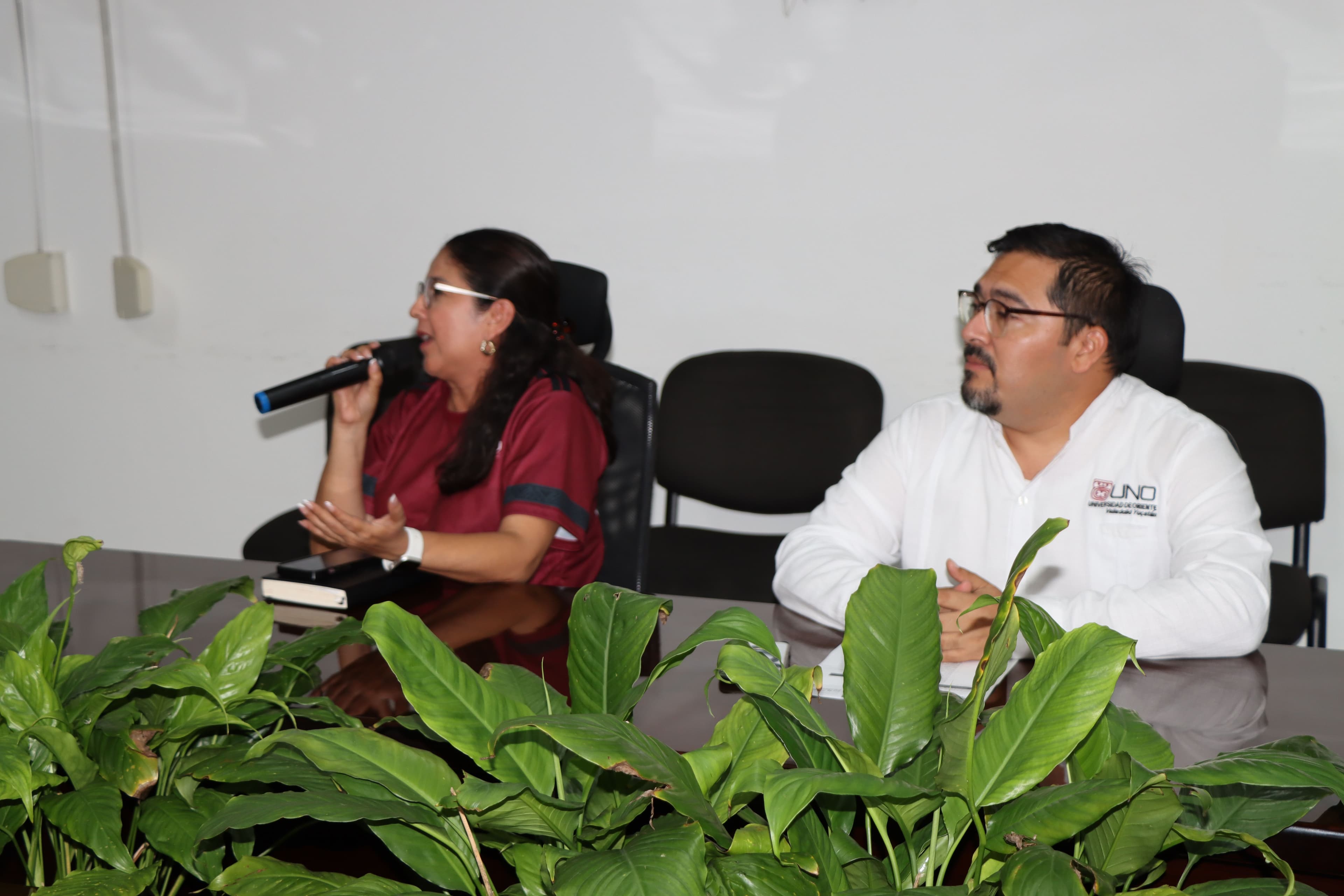 Imagen de galería 1